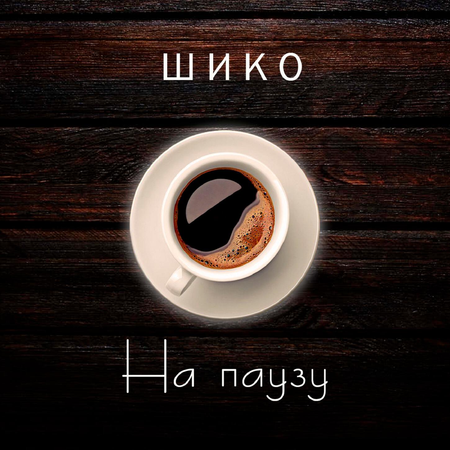 Релиз На паузу