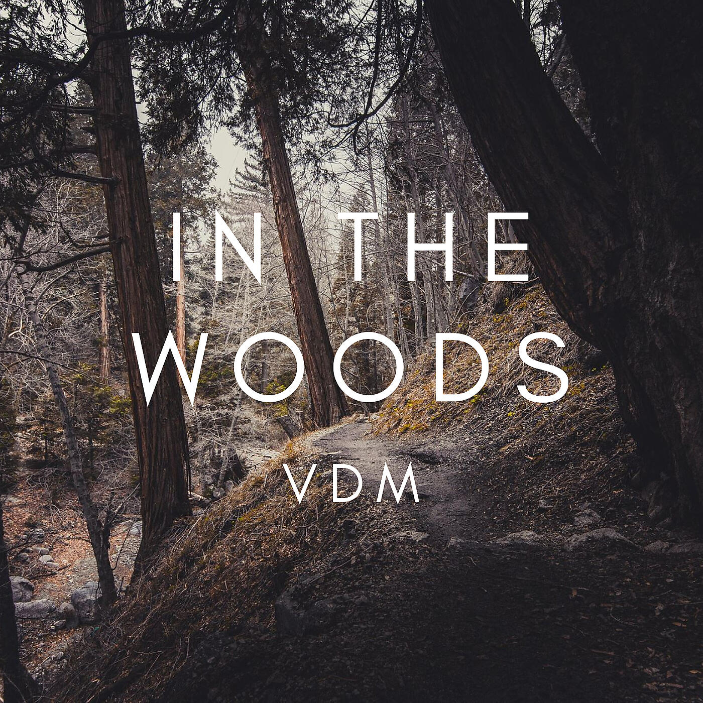Скачать песню VDM - In the Woods бесплатно в MP3 для Android и iOS