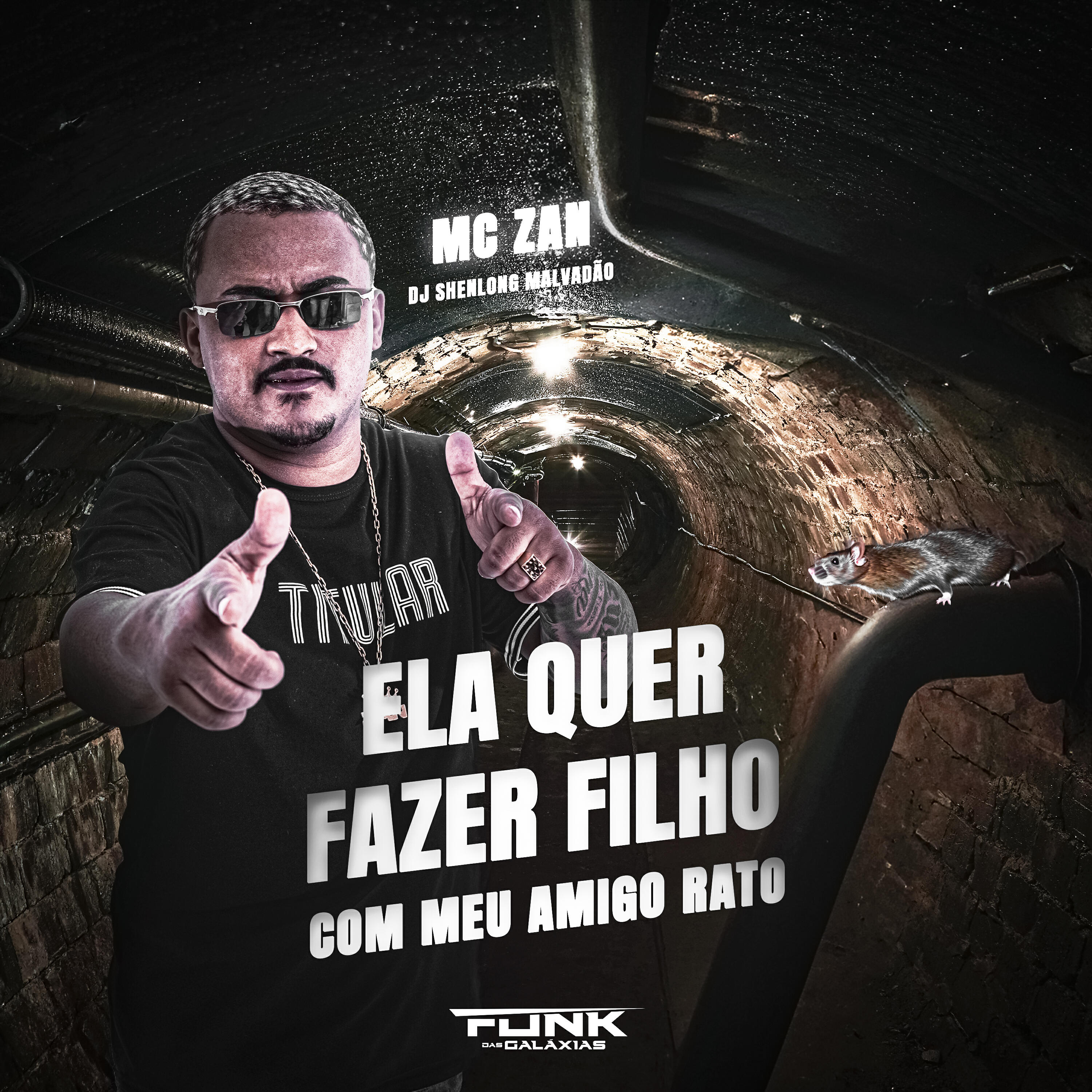 Скачать песню MC Zan, DJ SHENLONG MALVADÃO - Ela Quer Fazer Filho бесплатно в MP3 для Android и iOS