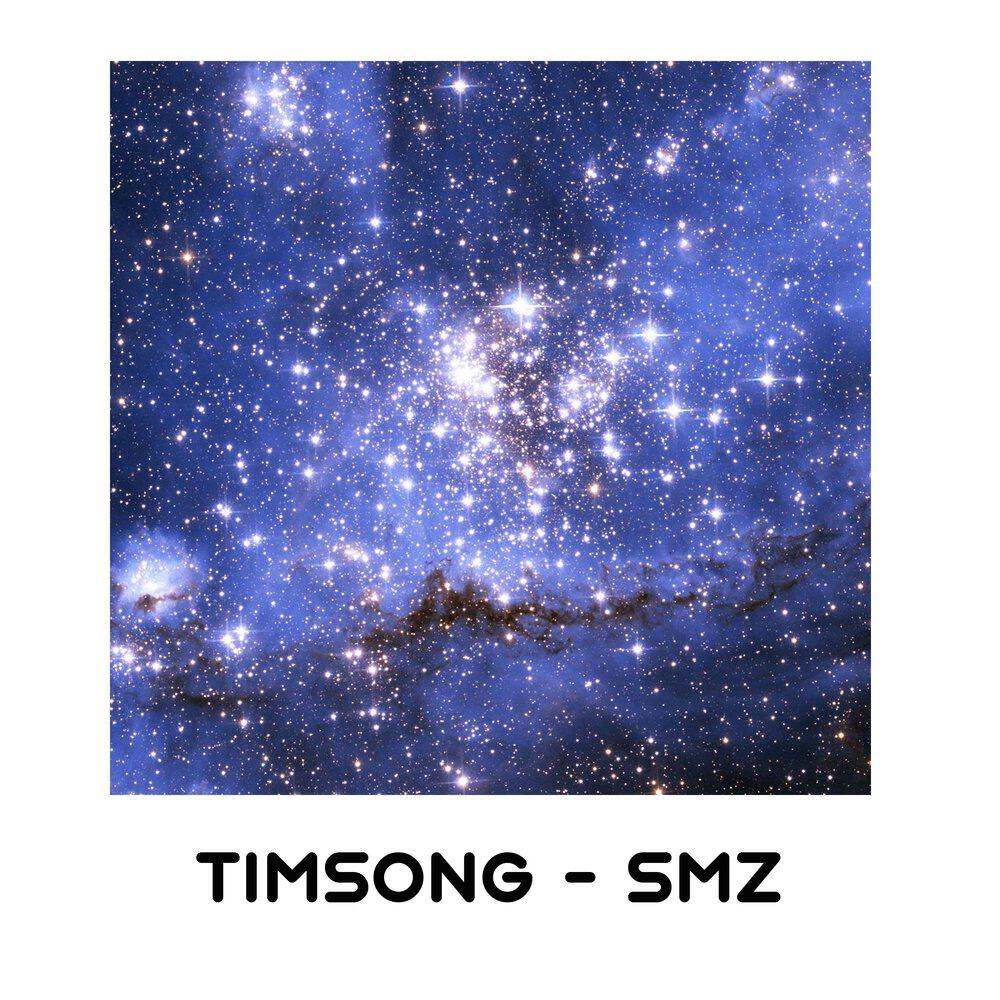 Релиз Timsong - S.M.Z