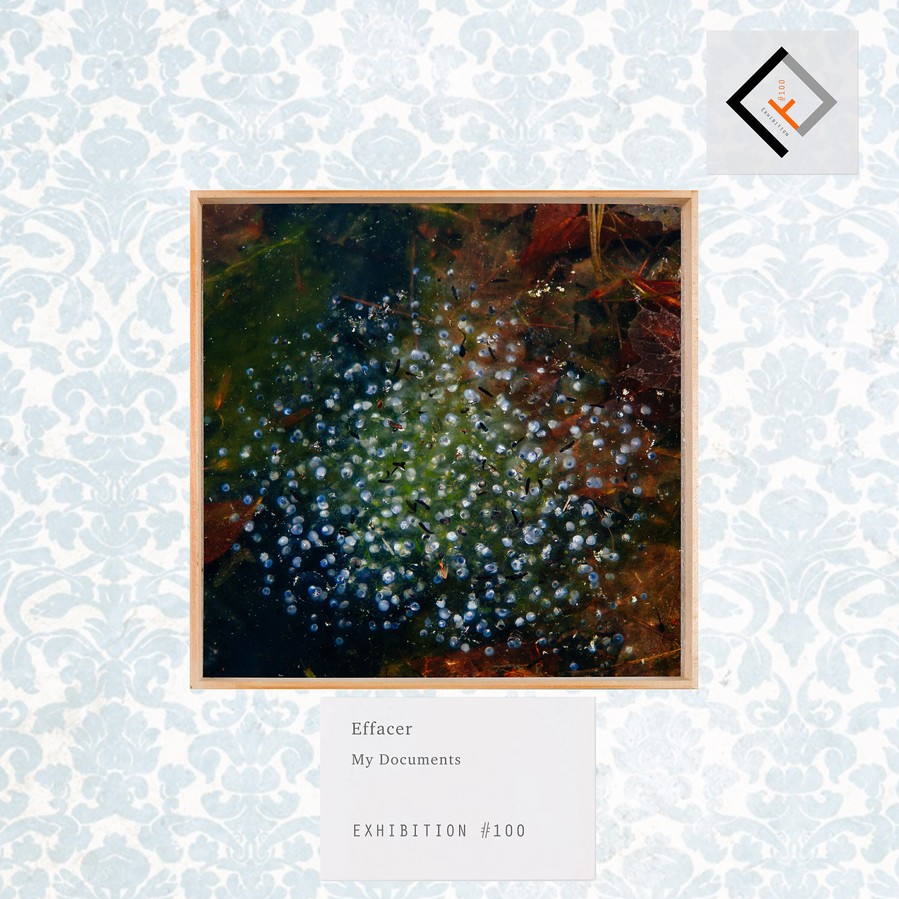 Релиз My Documents