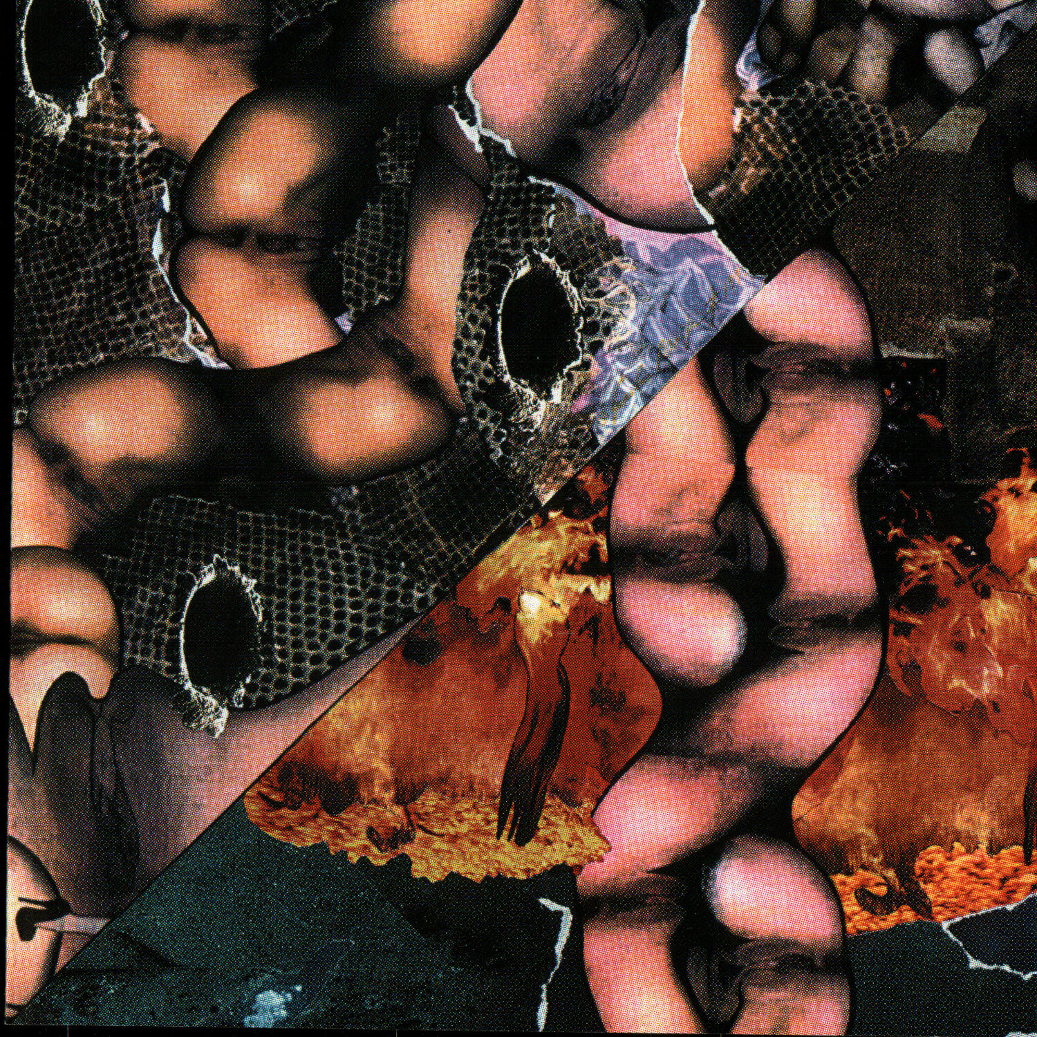 Релиз Origin Of The Species Volume Too! - Third Tablet Of Acid