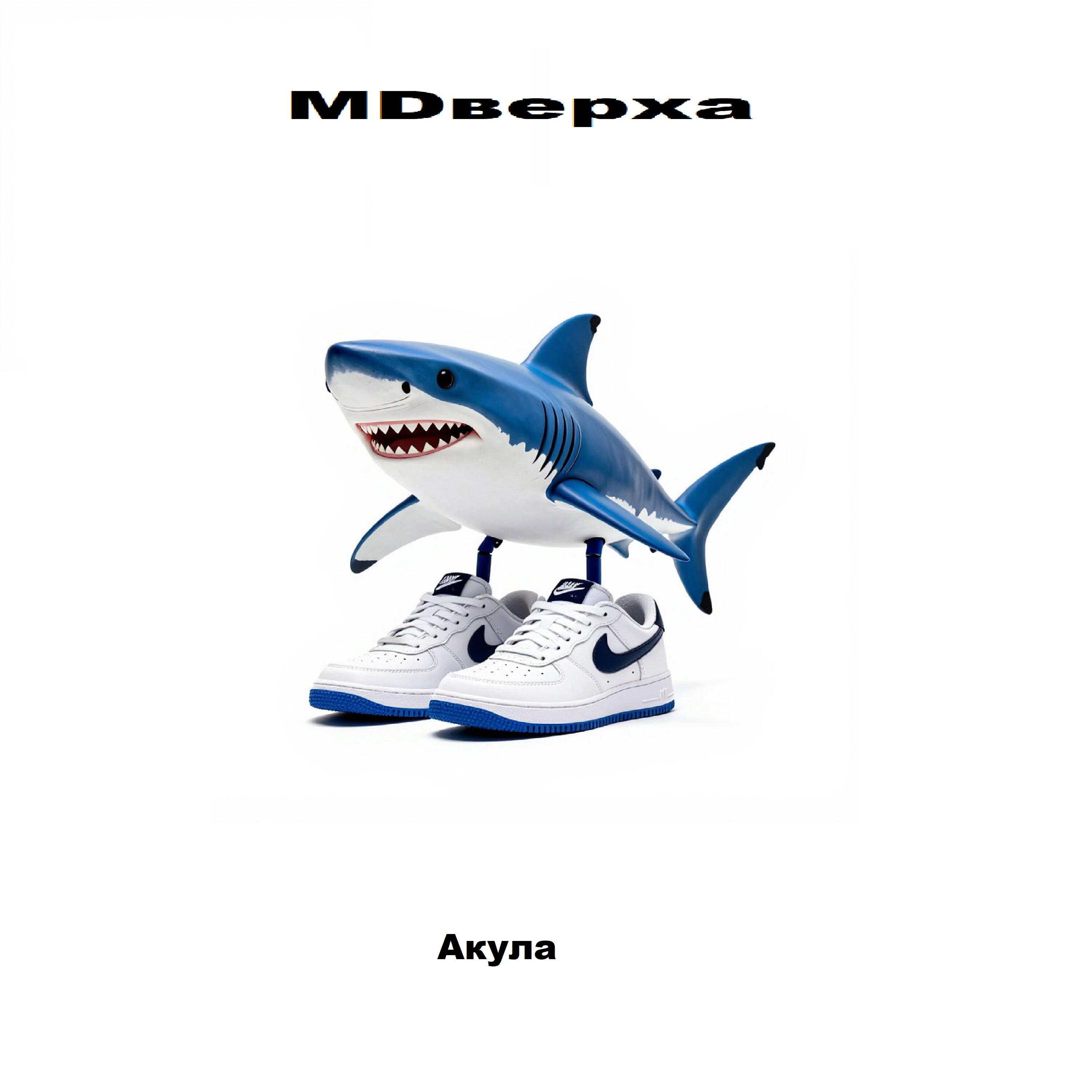 Релиз Акула