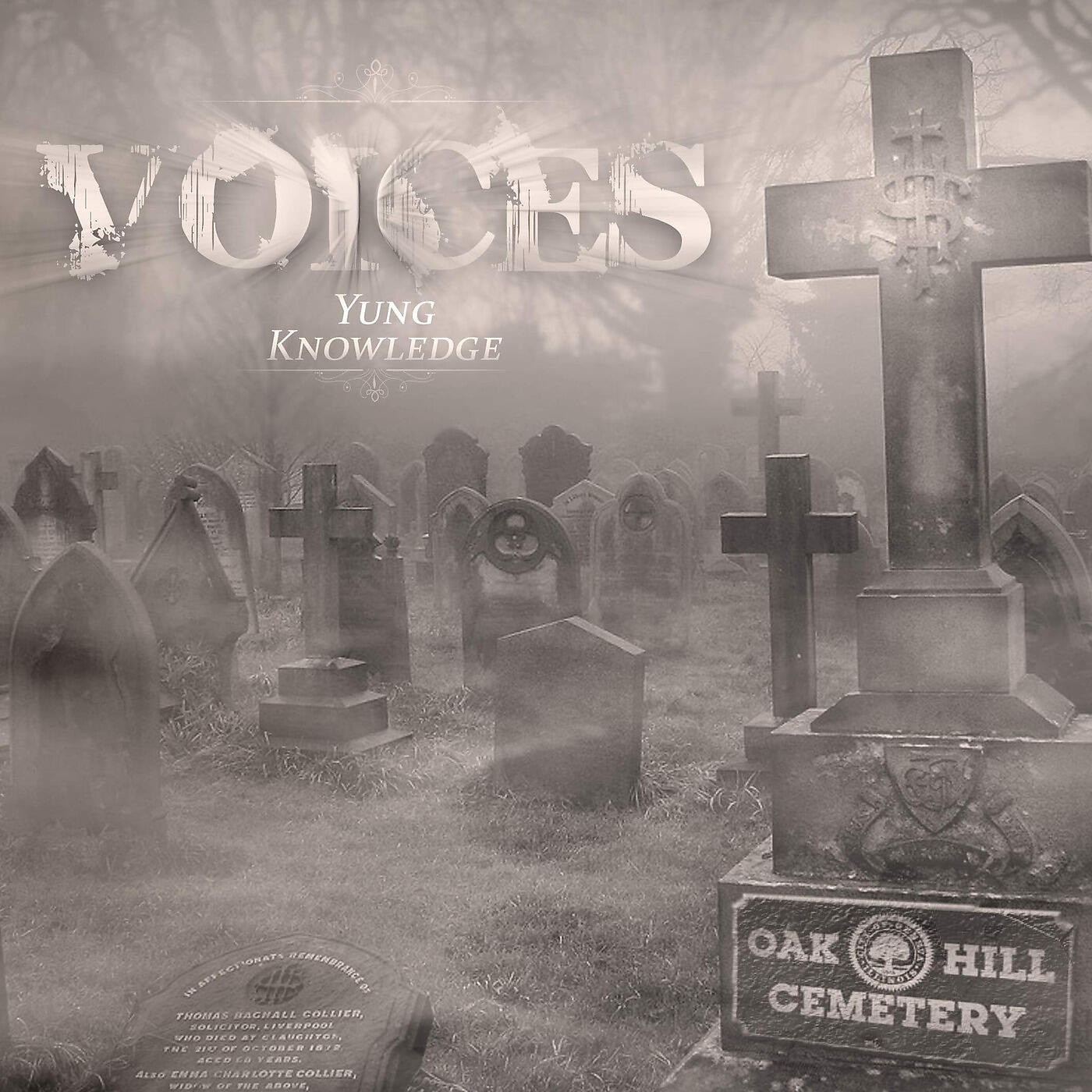 Релиз Voices
