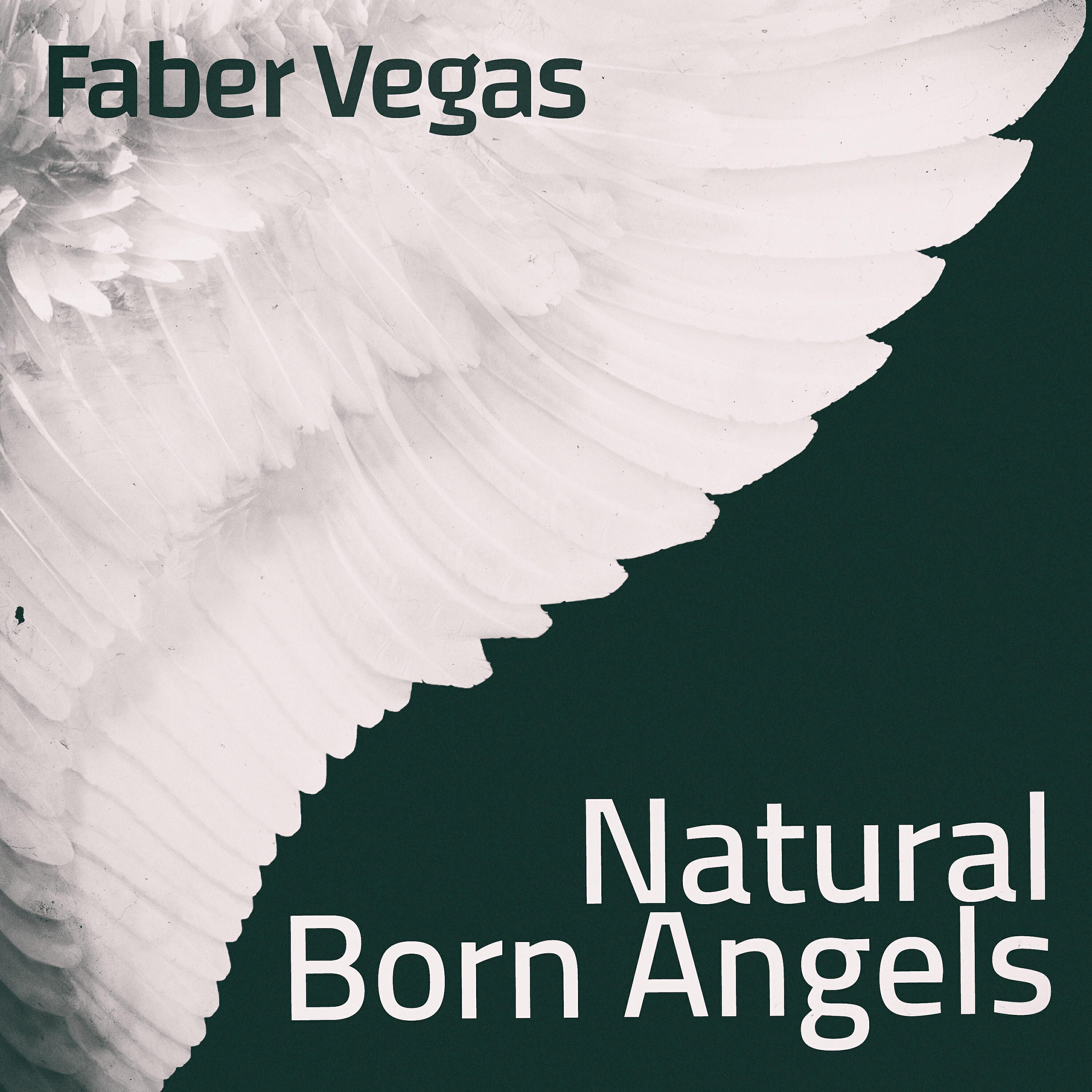 Релиз Natural Born Angels
