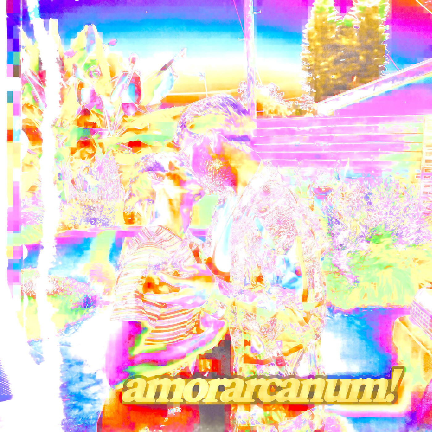 Релиз Amorarcanum