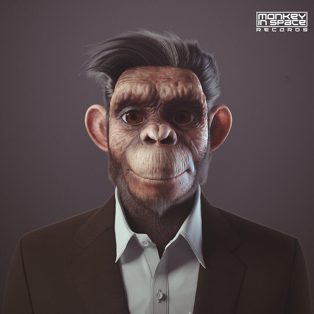 Релиз Discover Monkey
