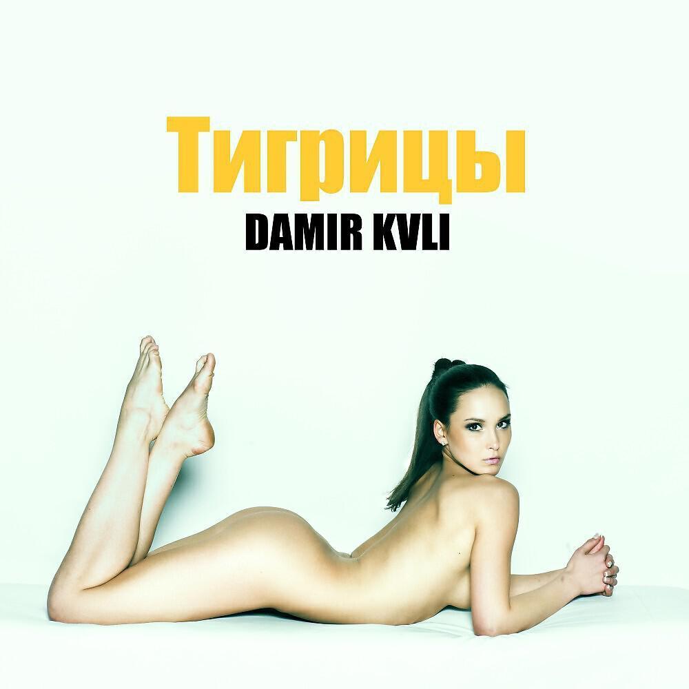 DAMIR KVLI