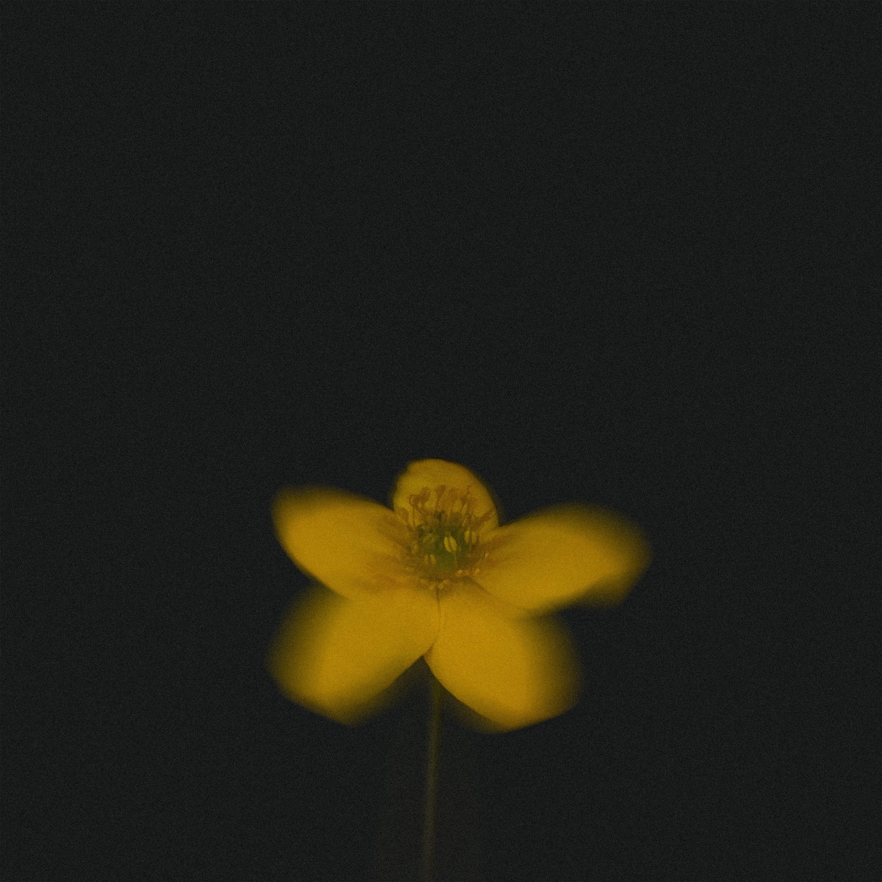 Релиз Lament