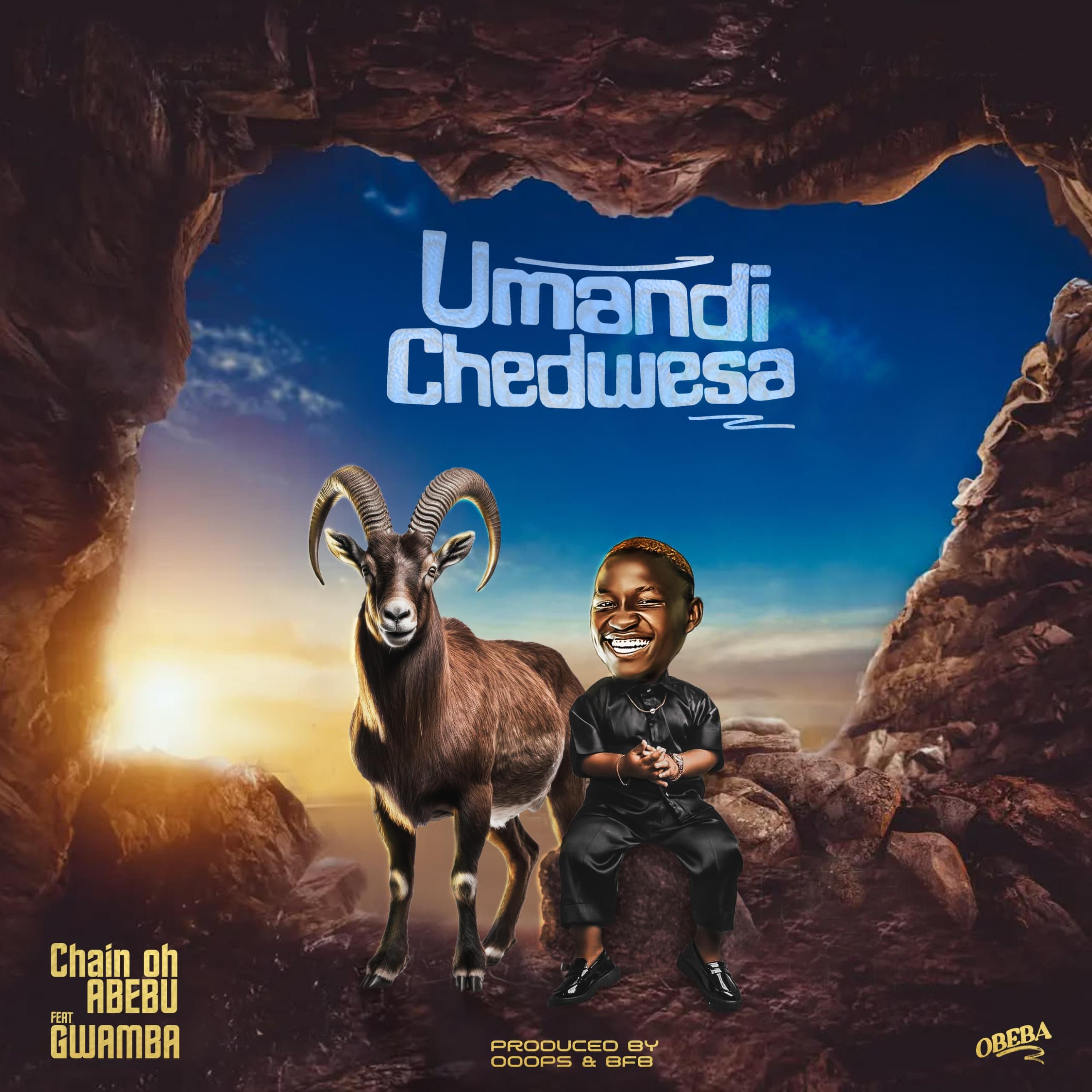 Релиз Umandichedwetsa