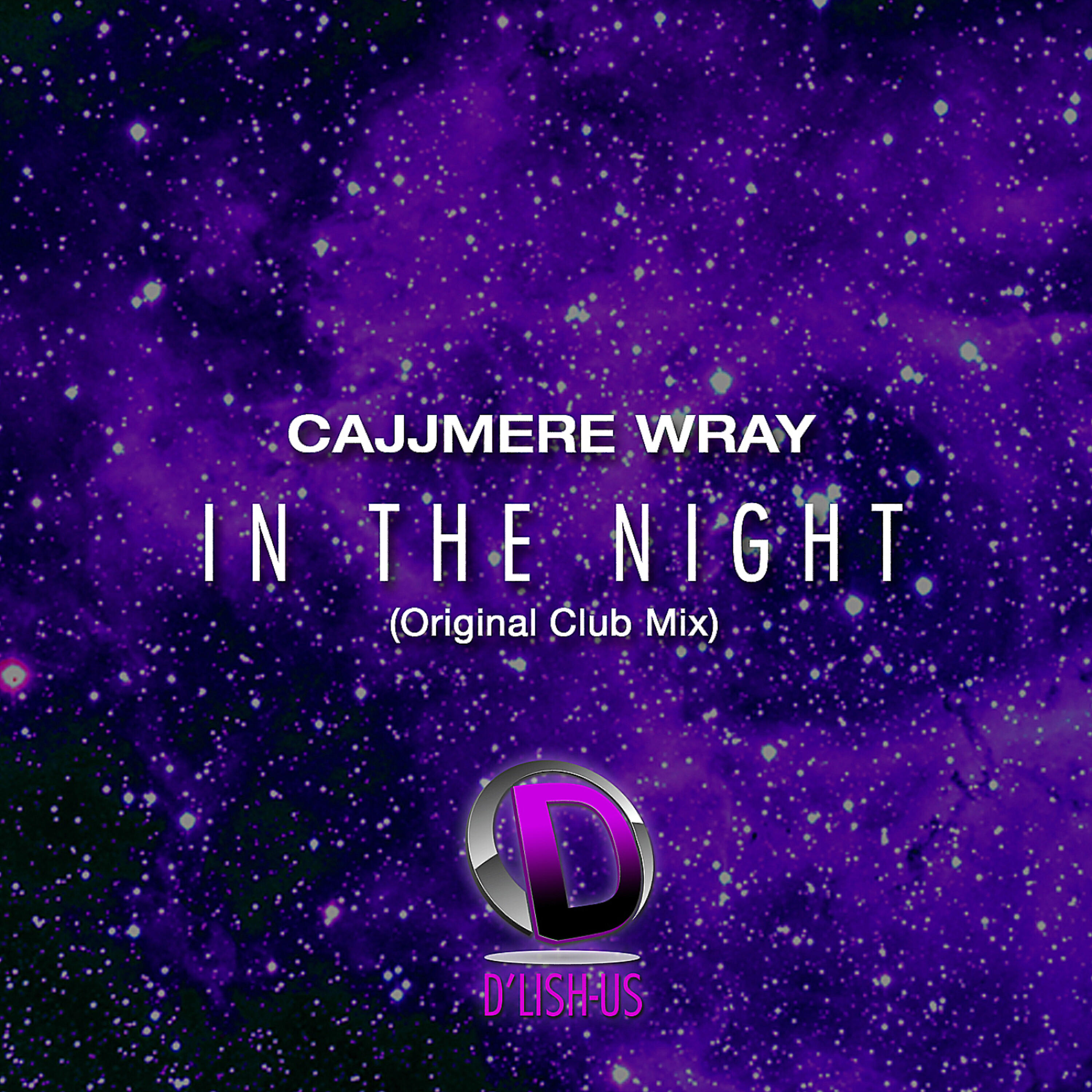 Релиз In The Night