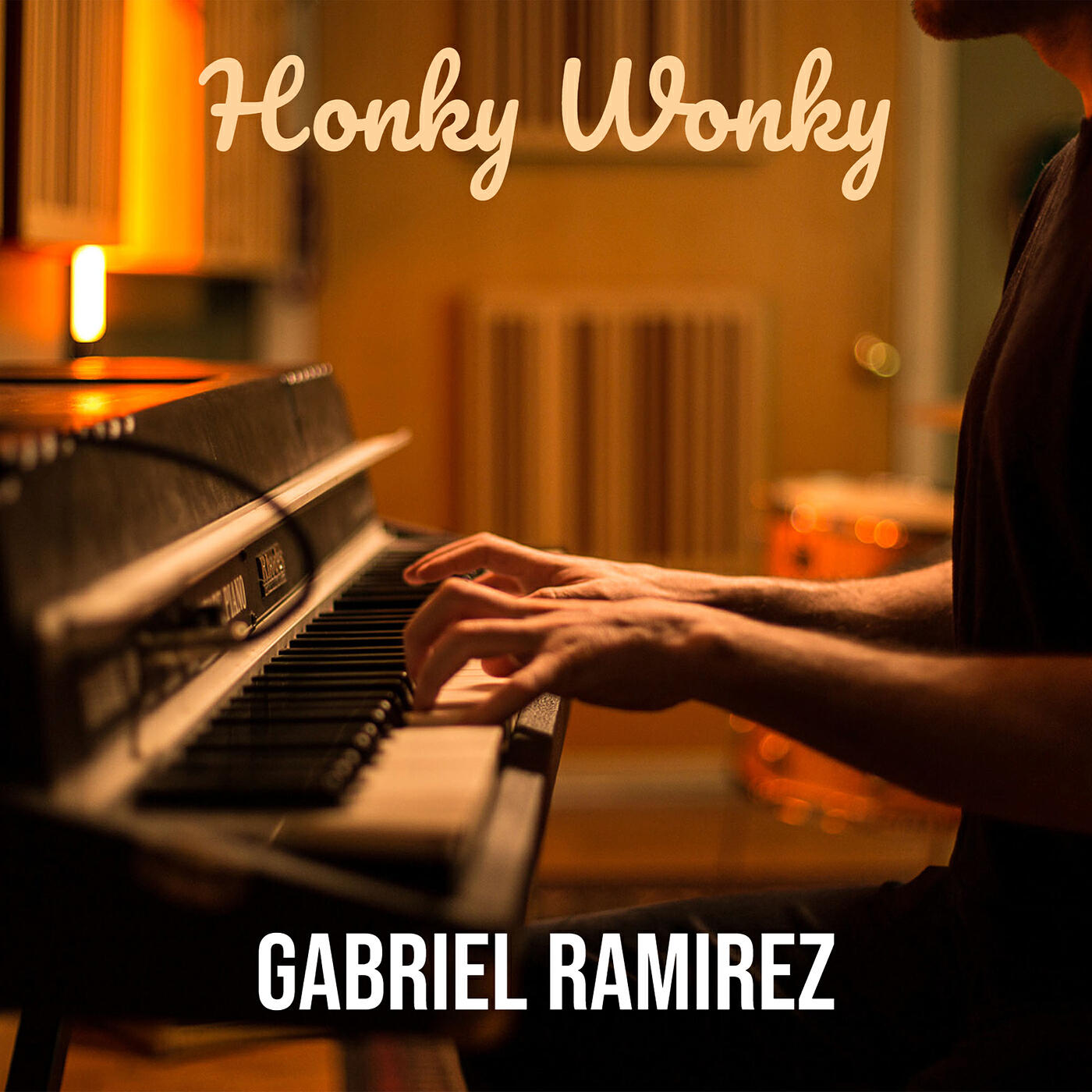 Релиз Honky Wonky