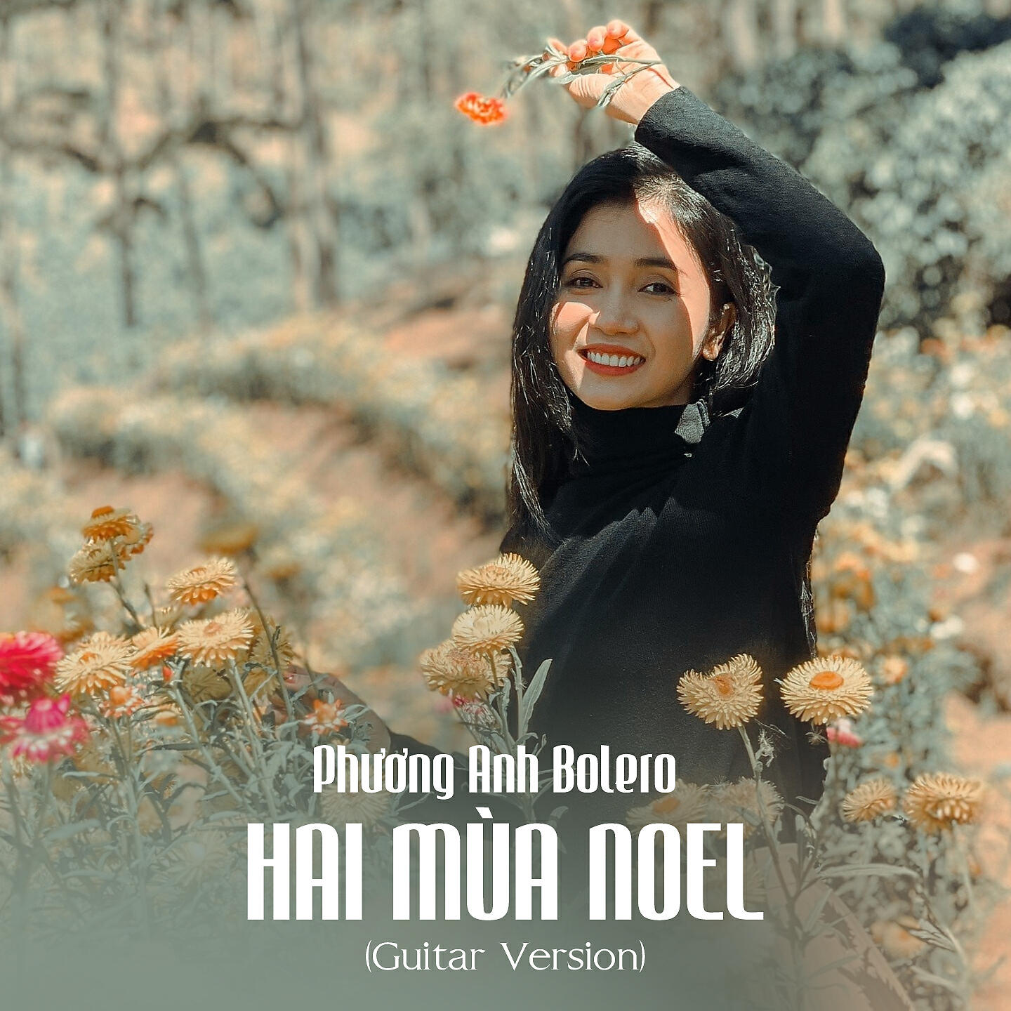 Релиз Hai Mùa Noel