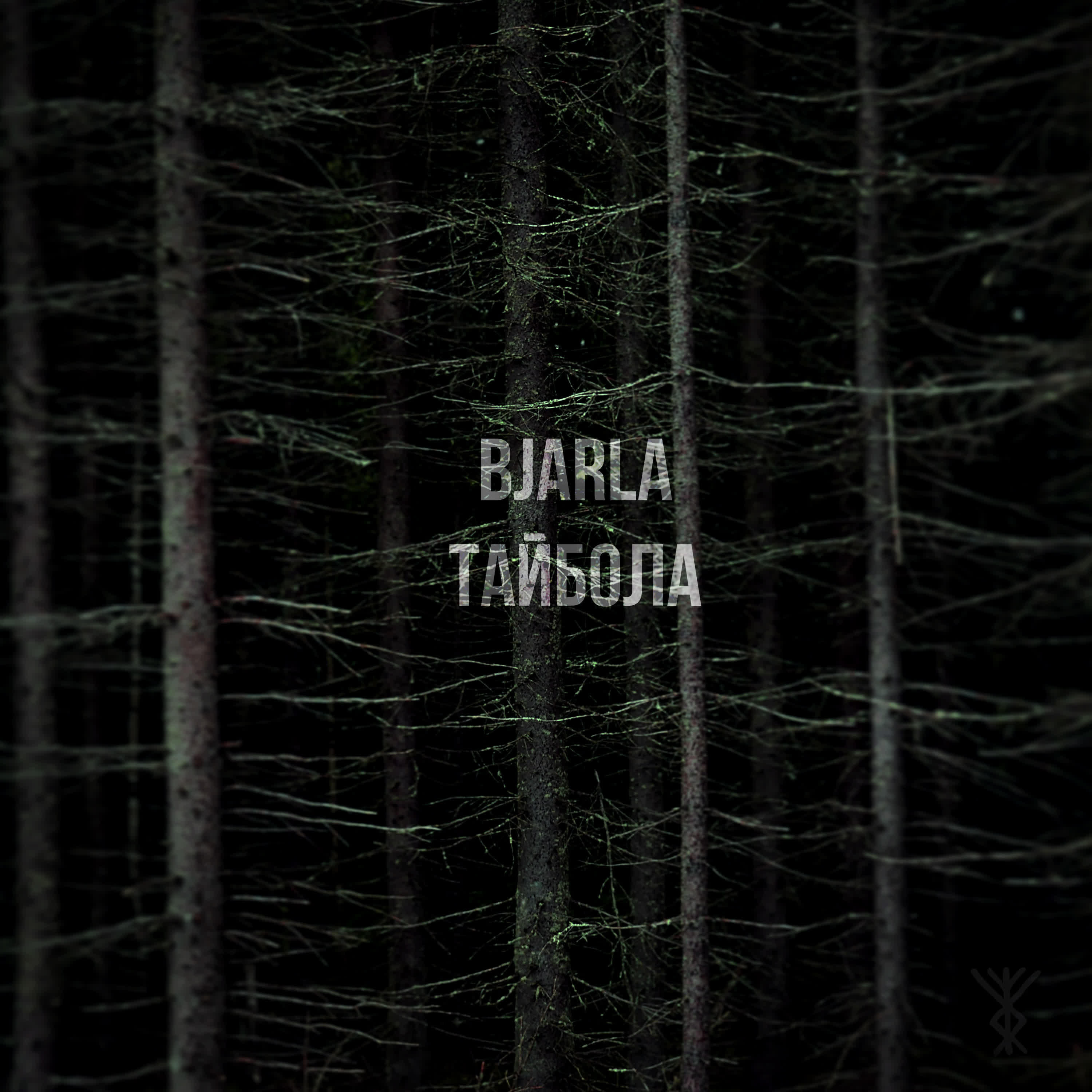 Релиз Тайбола