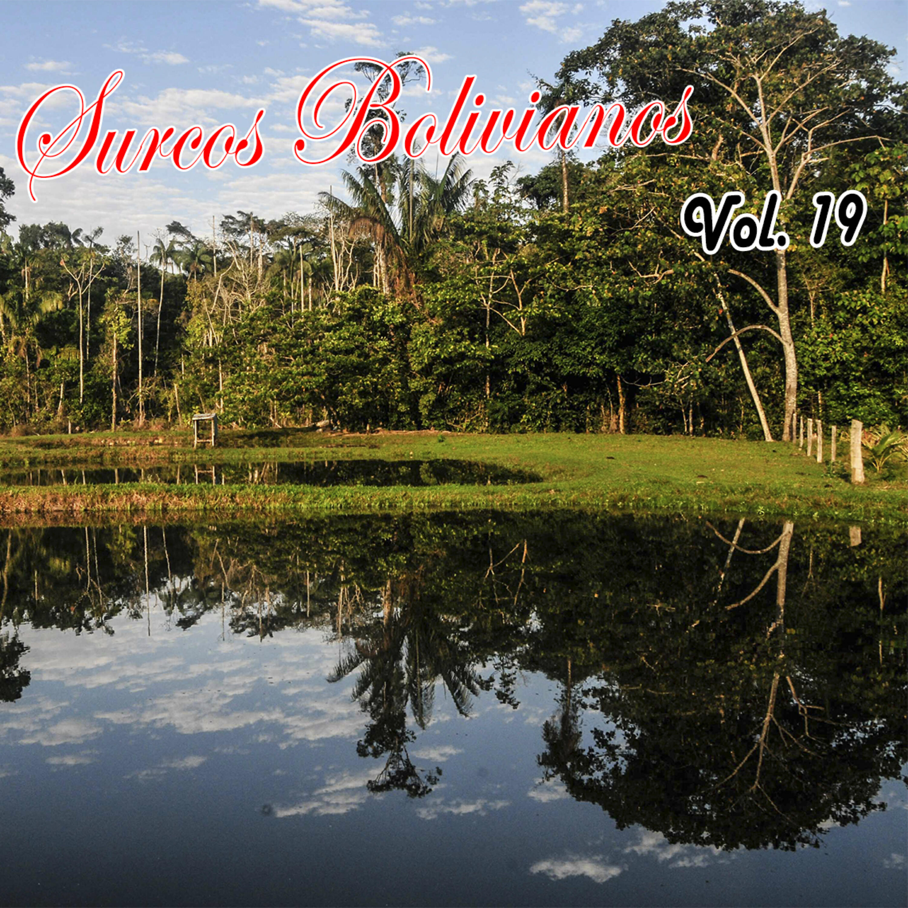 Релиз Surcos Bolivianos Vol. 19