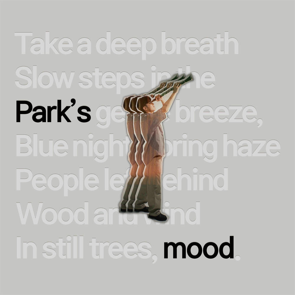 Релиз Park's Mood