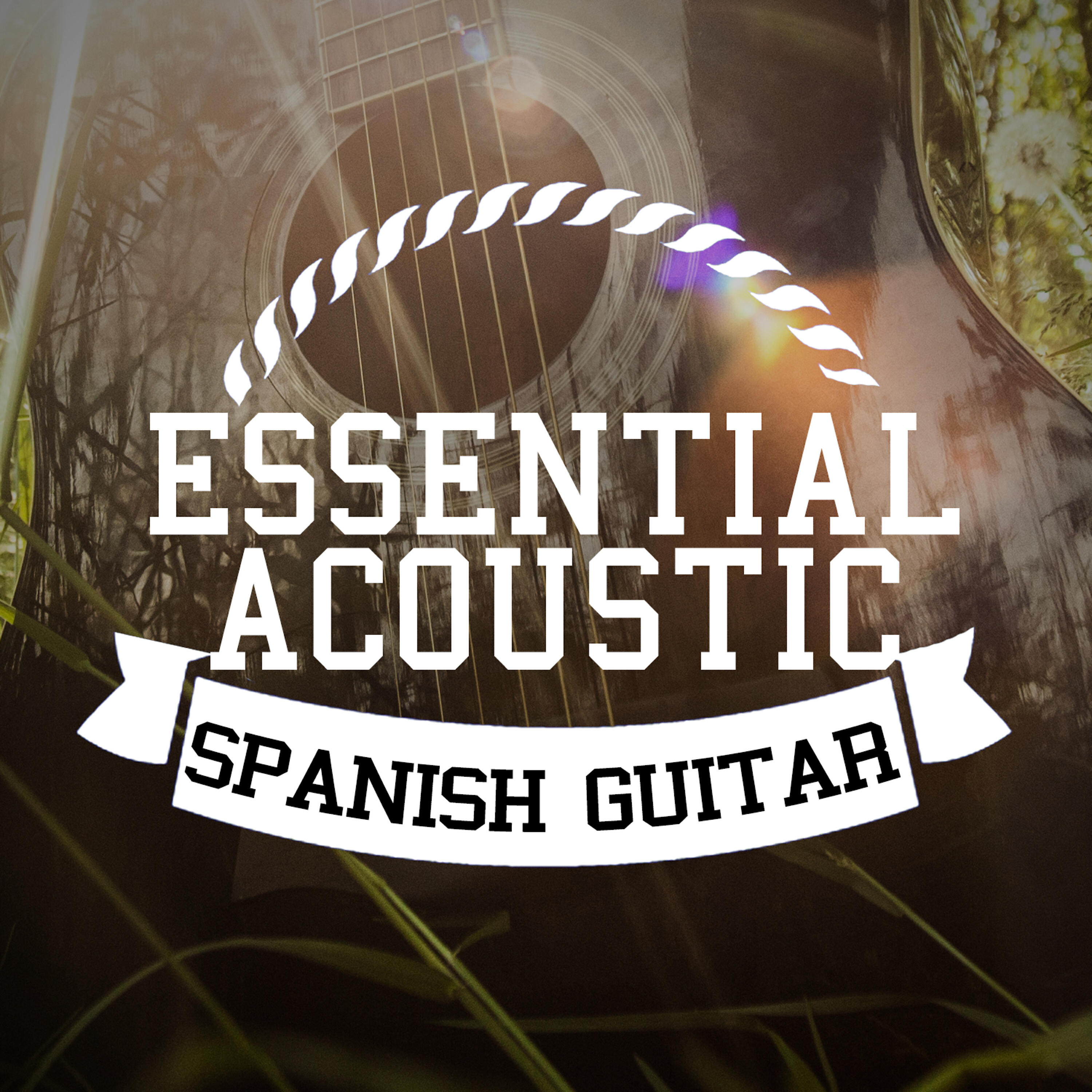 Релиз Essential Acoustic Spanish Guitar