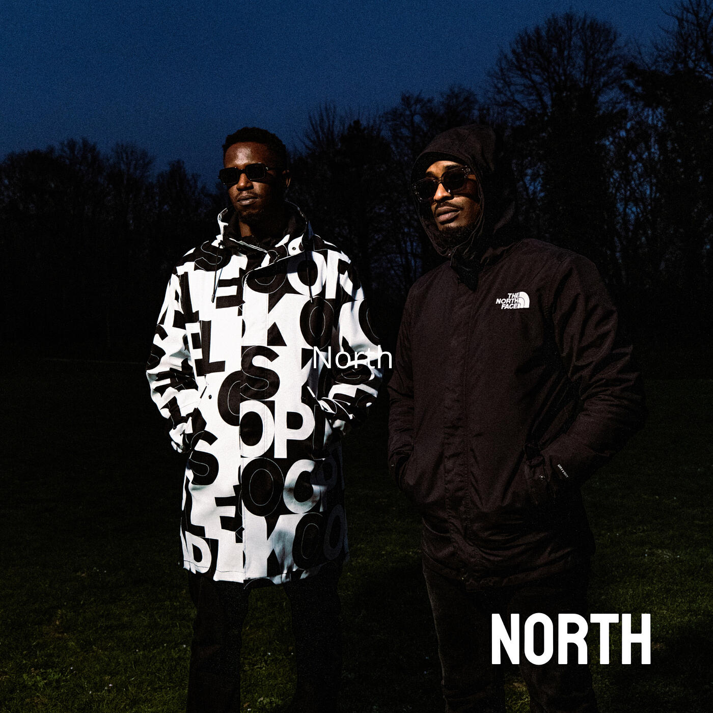 Релиз North