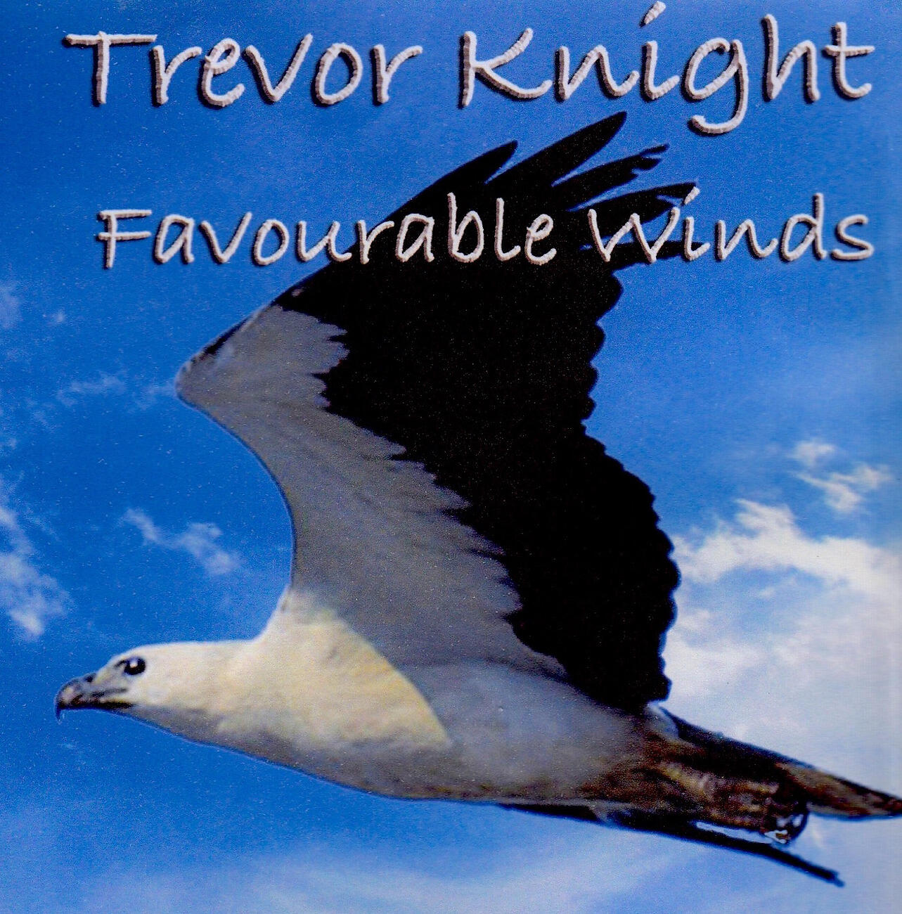 Релиз Favourable Winds