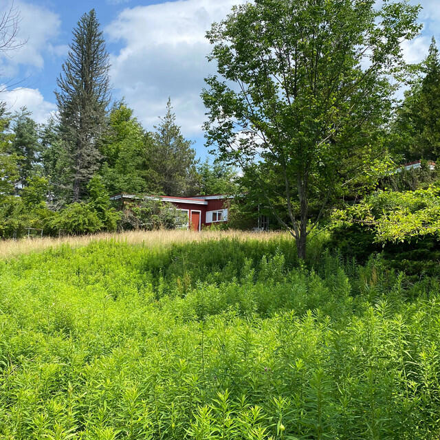 Релиз the way night falls