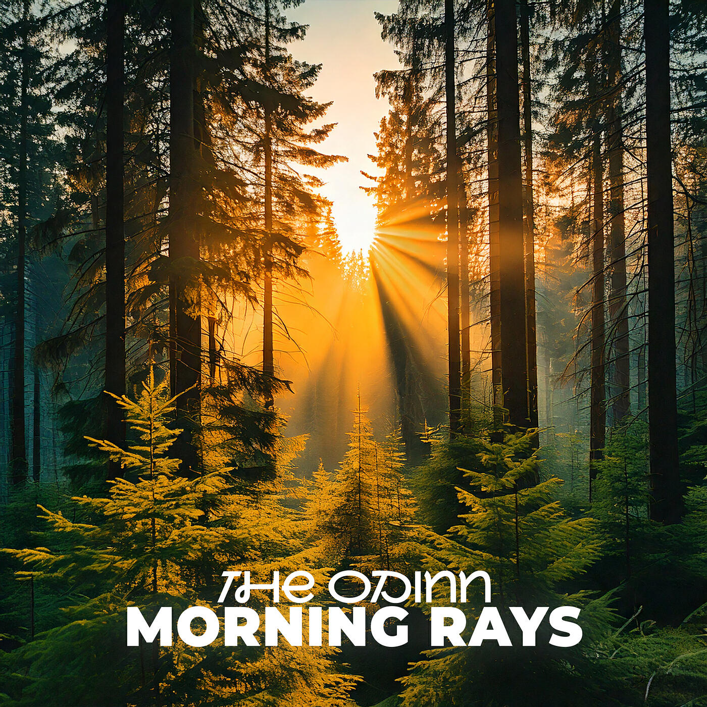Релиз Morning Rays