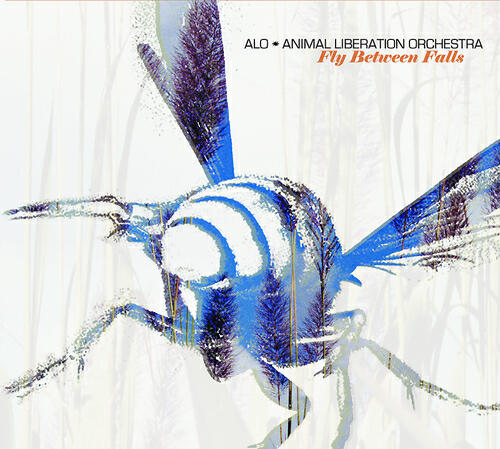 Постер альбома Fly Between Falls