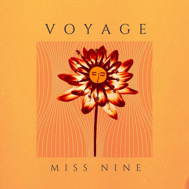 Релиз Voyage (DJ Mix)