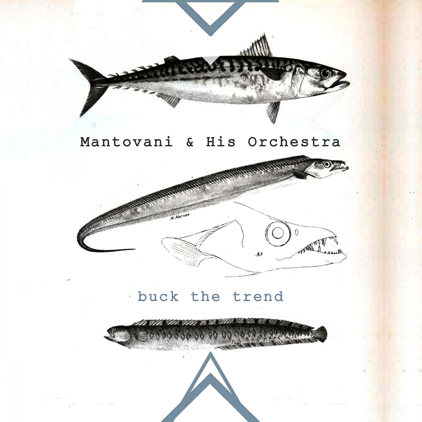 Релиз Buck The Trend