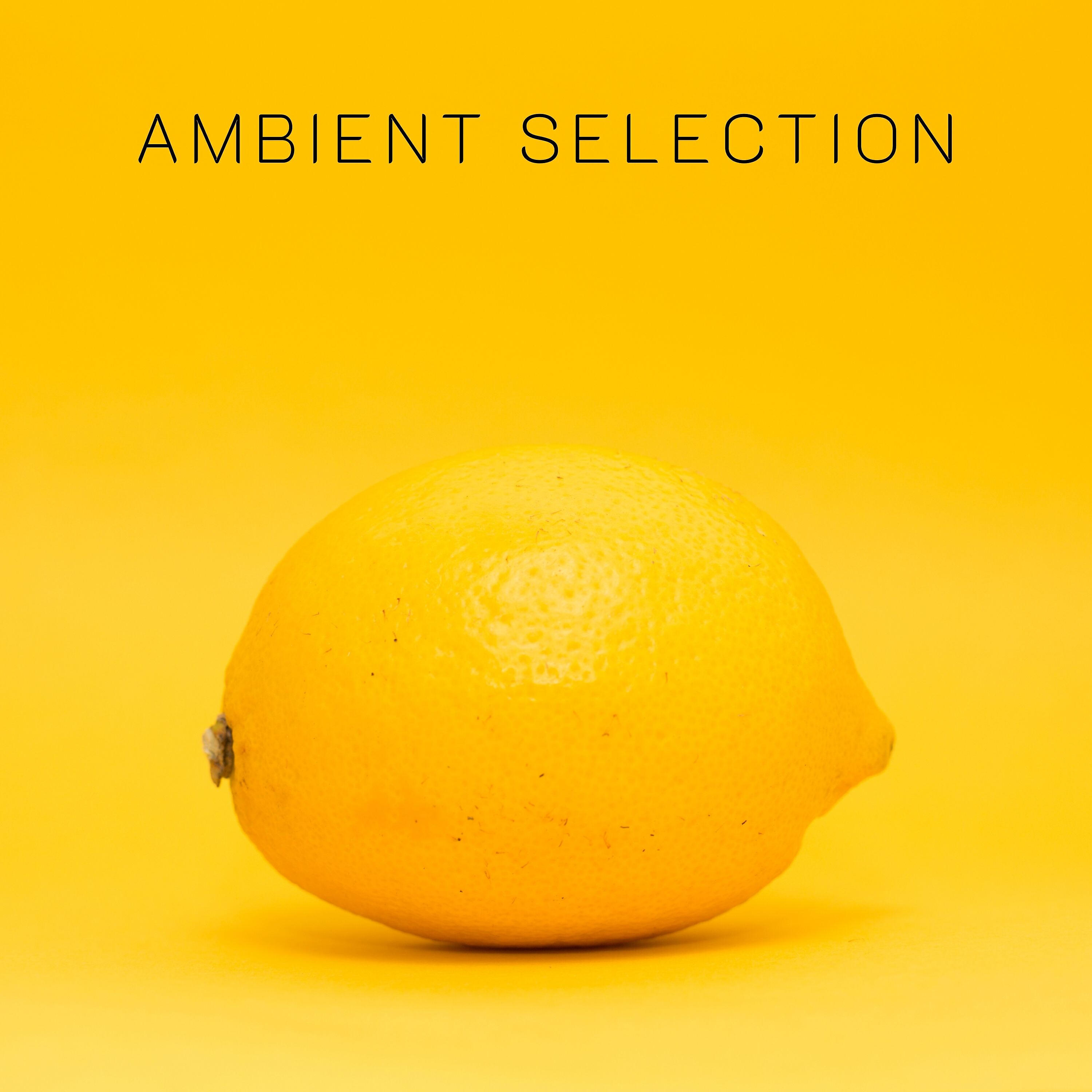 Релиз Ambient Selection