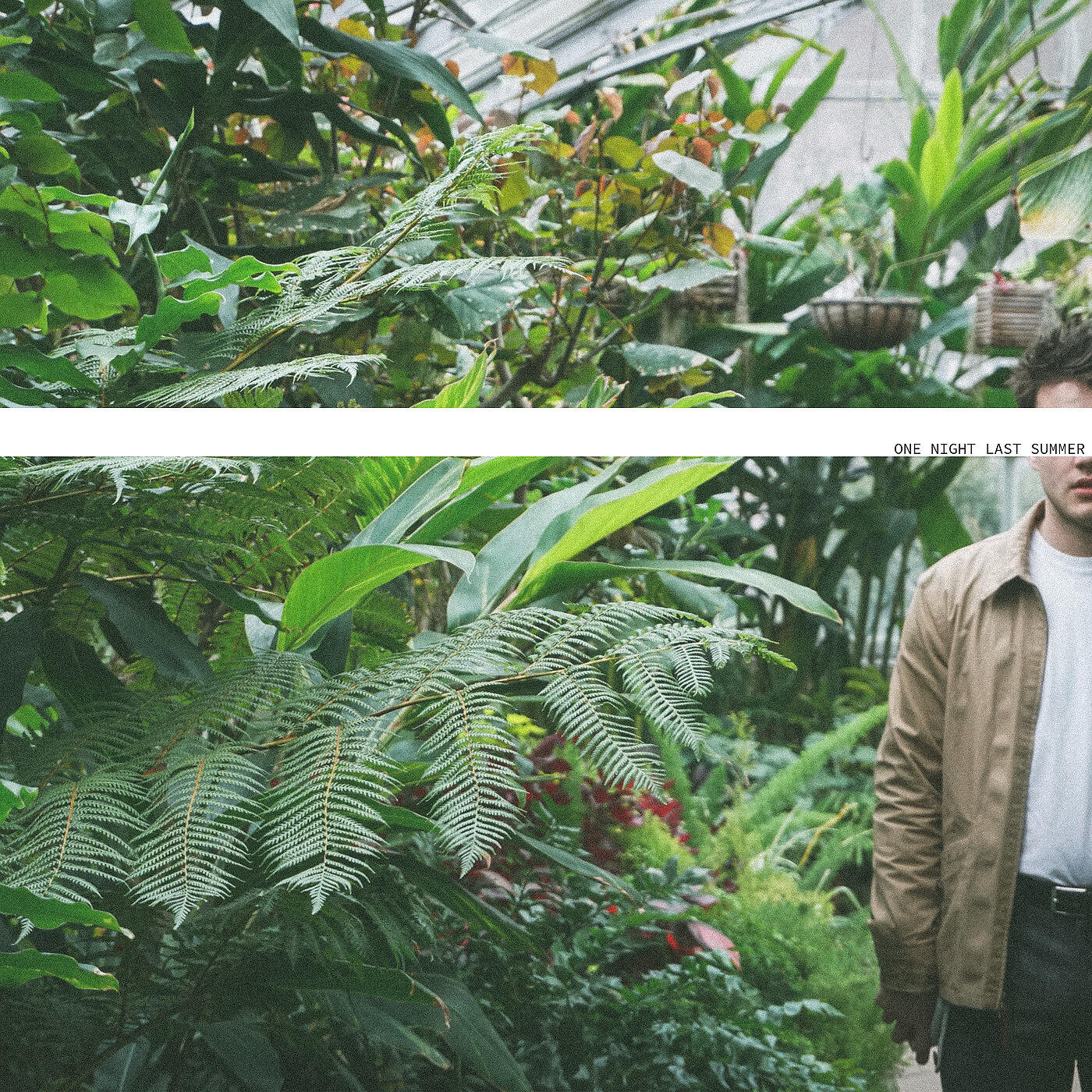 Релиз One Night Last Summer