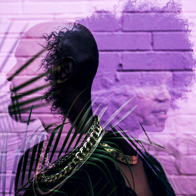 Трек Wild & Free