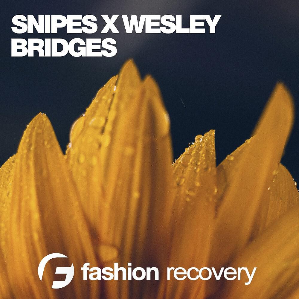 Релиз Bridges