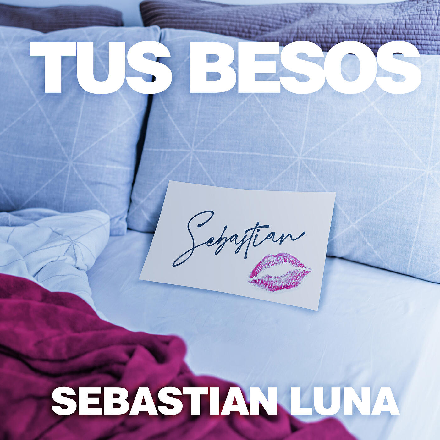 Альбом Tus Besos исполнителя Sebastian Luna