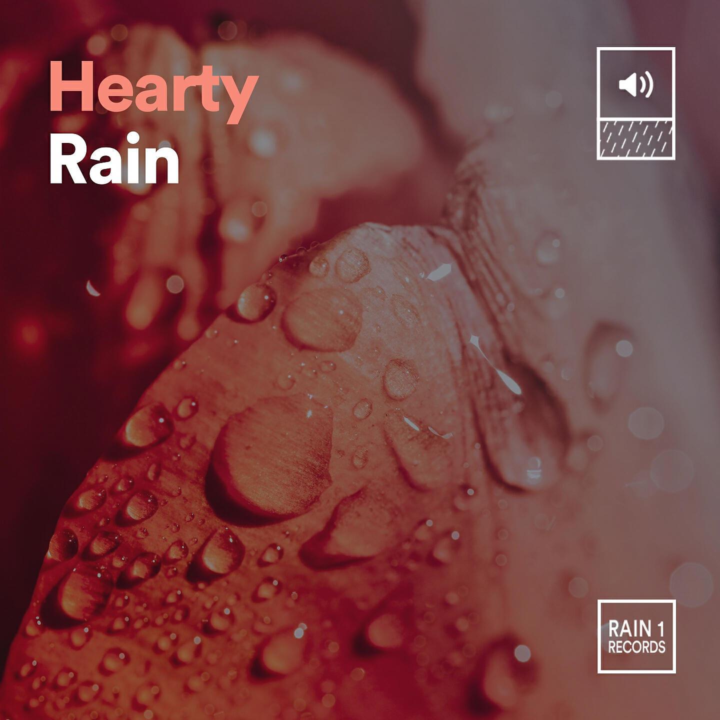 Релиз Hearty Rain