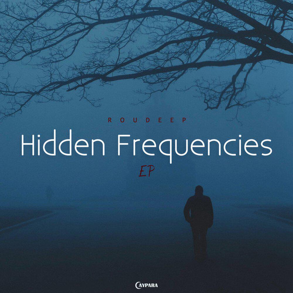 Релиз Hidden Frequencies
