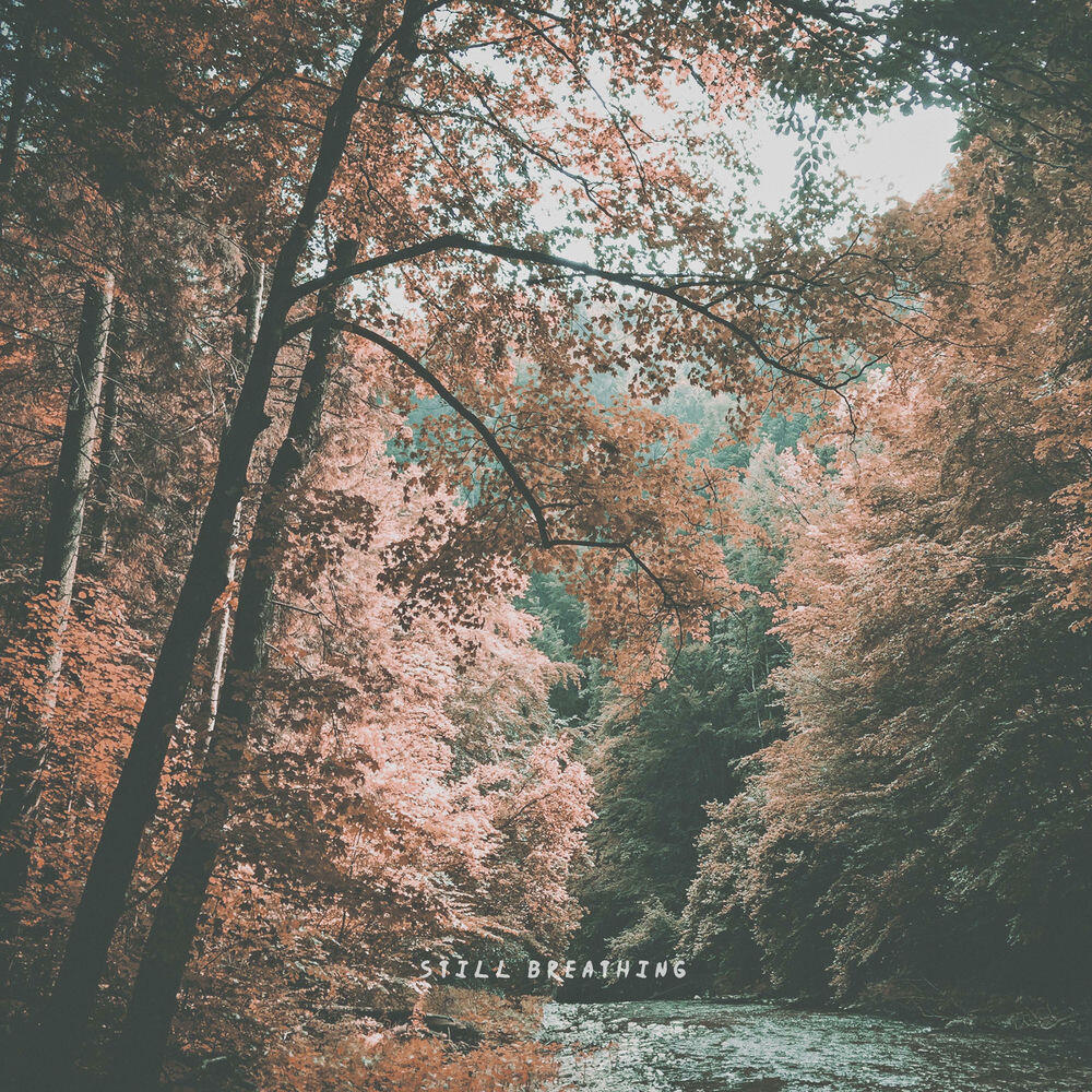 Релиз still breathing