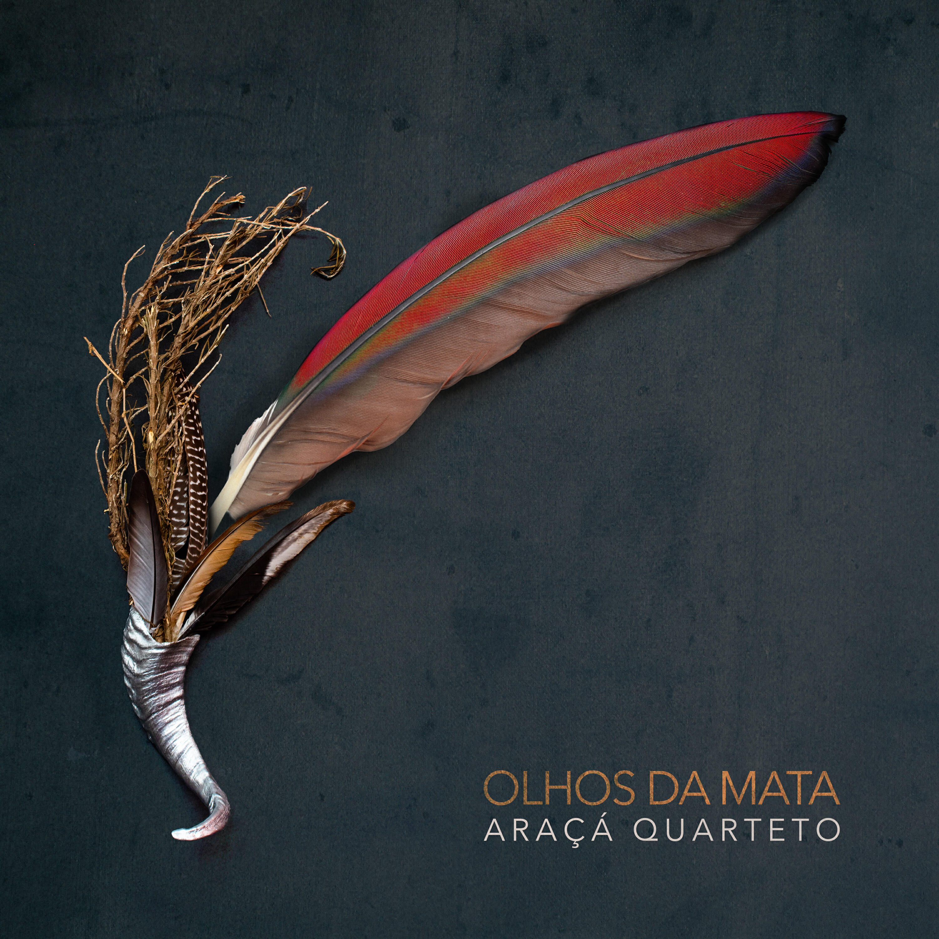 Araçá Quarteto