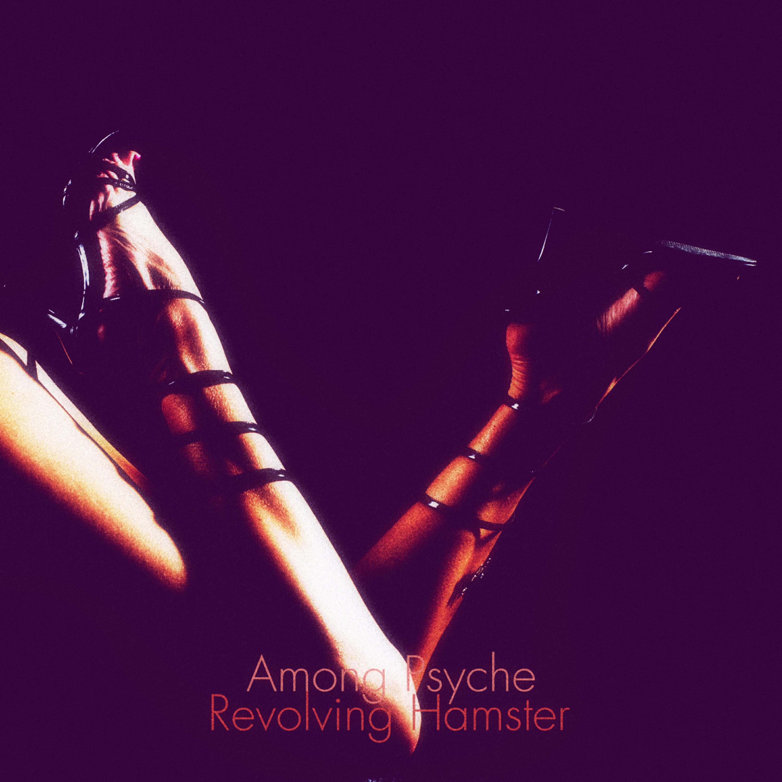 Revolving Hamster