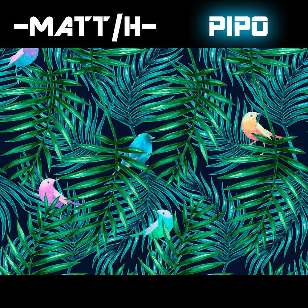 Релиз Pipo