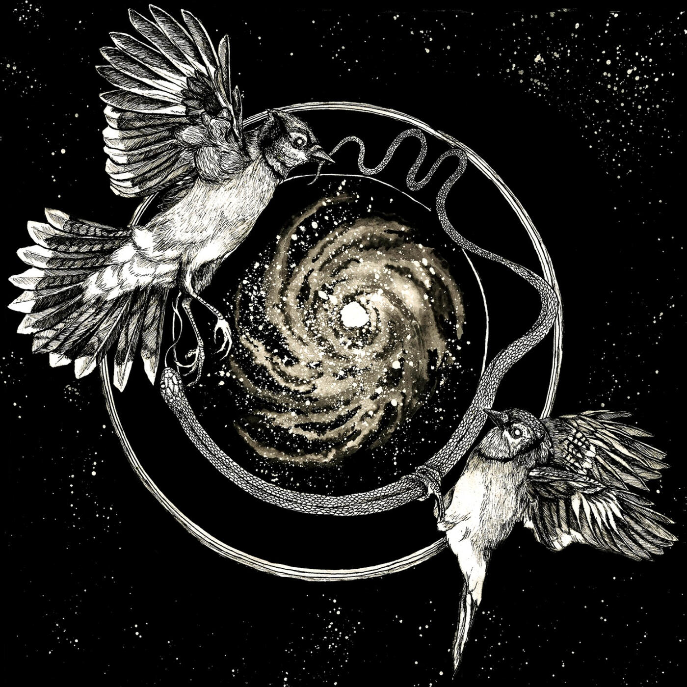 Релиз Sky Swallower