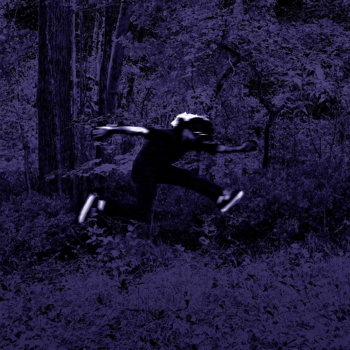 Релиз Pipistrello