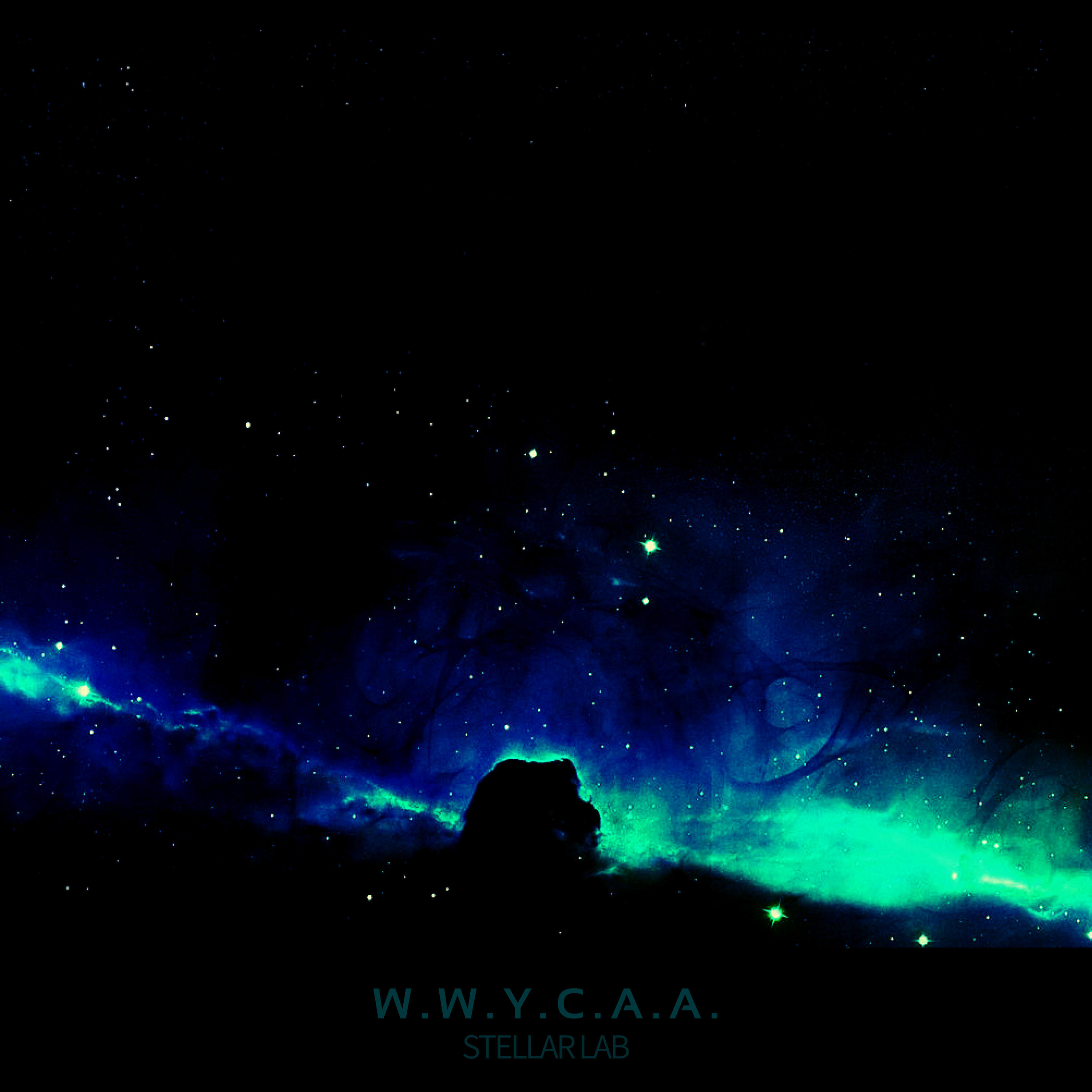 Релиз w.w.y.c.a.a.