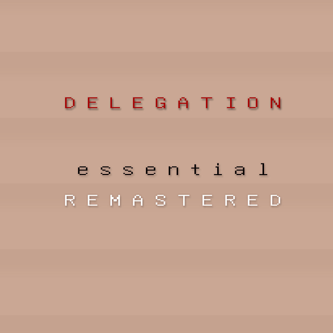 Постер альбома Delegation ESSENTIAL