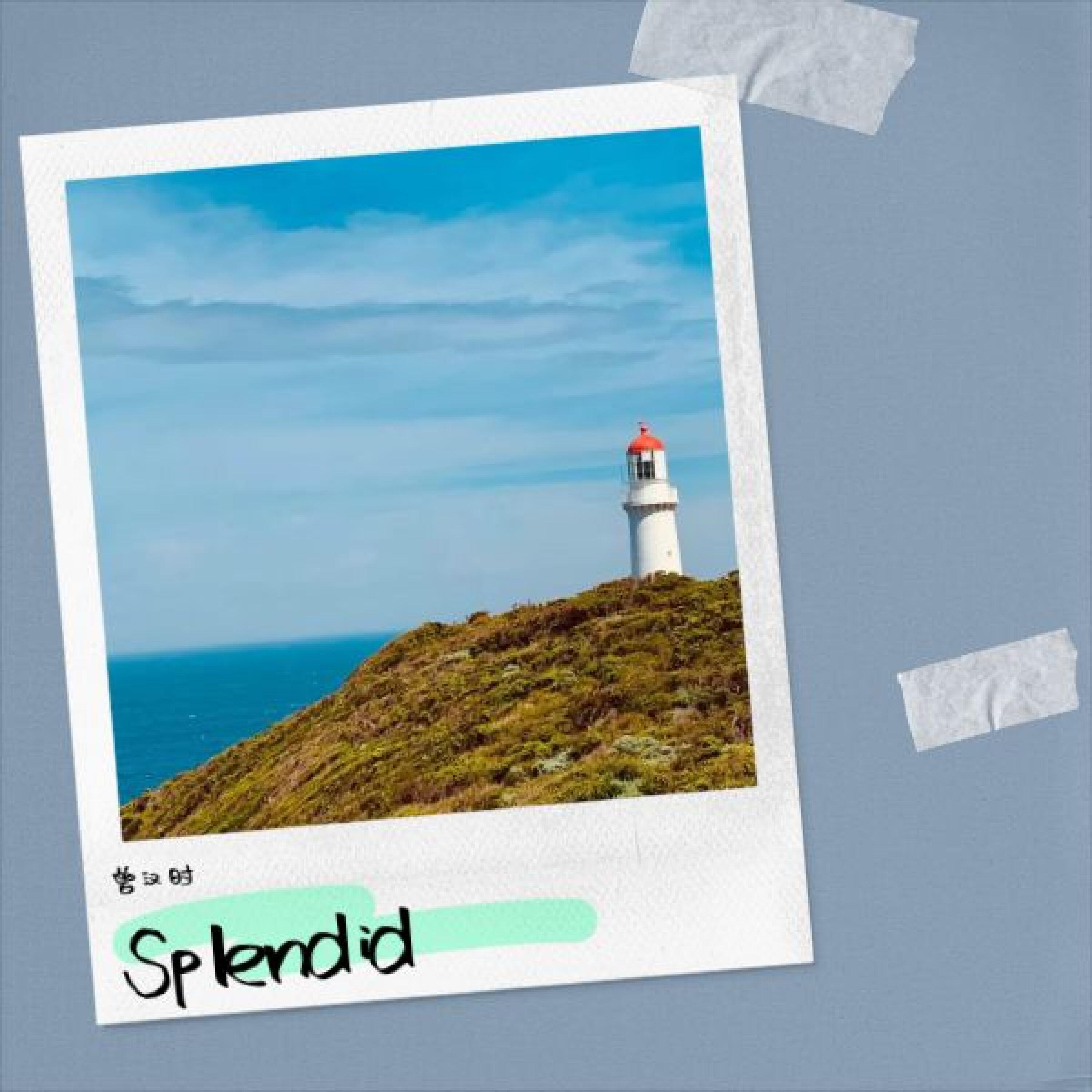 Релиз Splendid