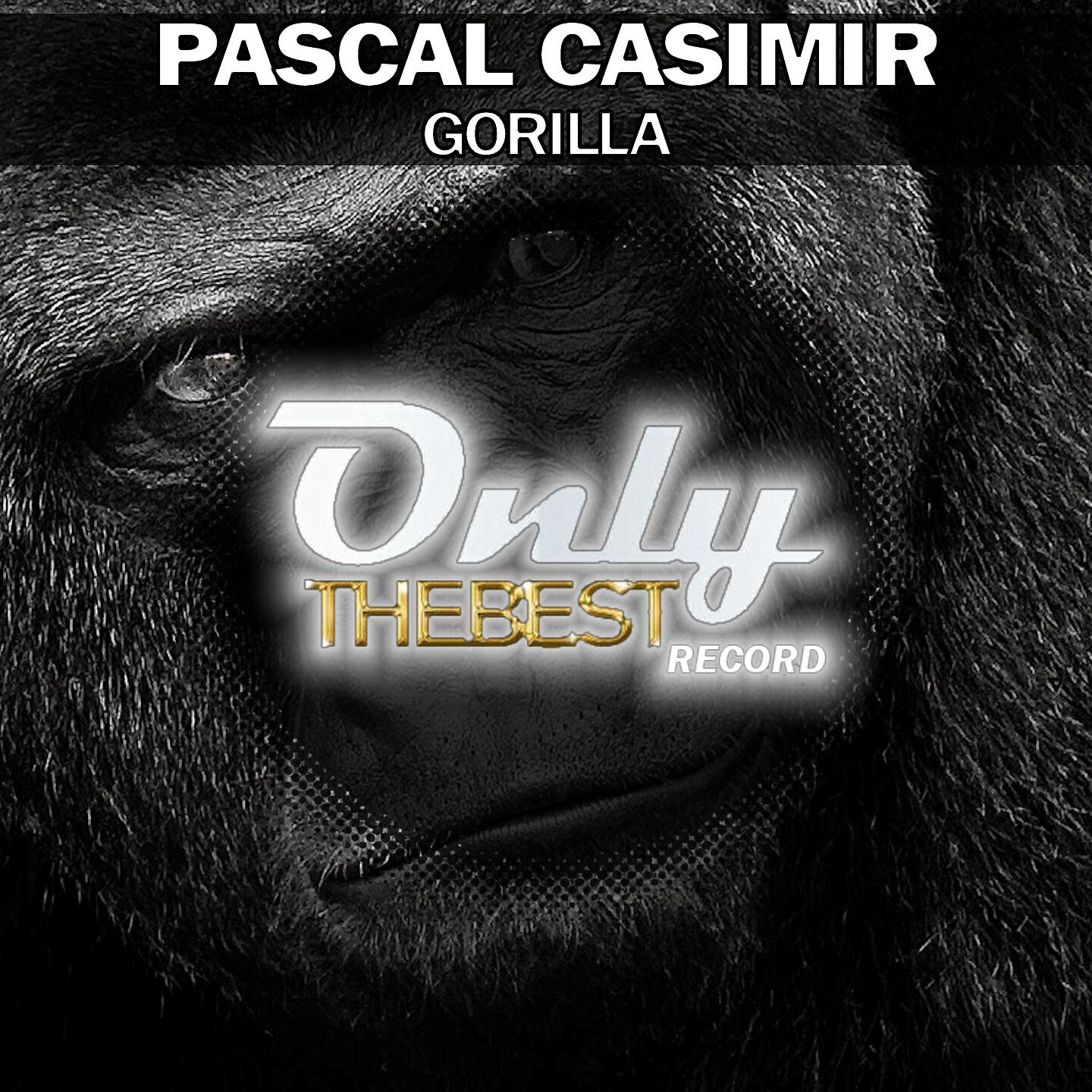 Релиз Gorilla