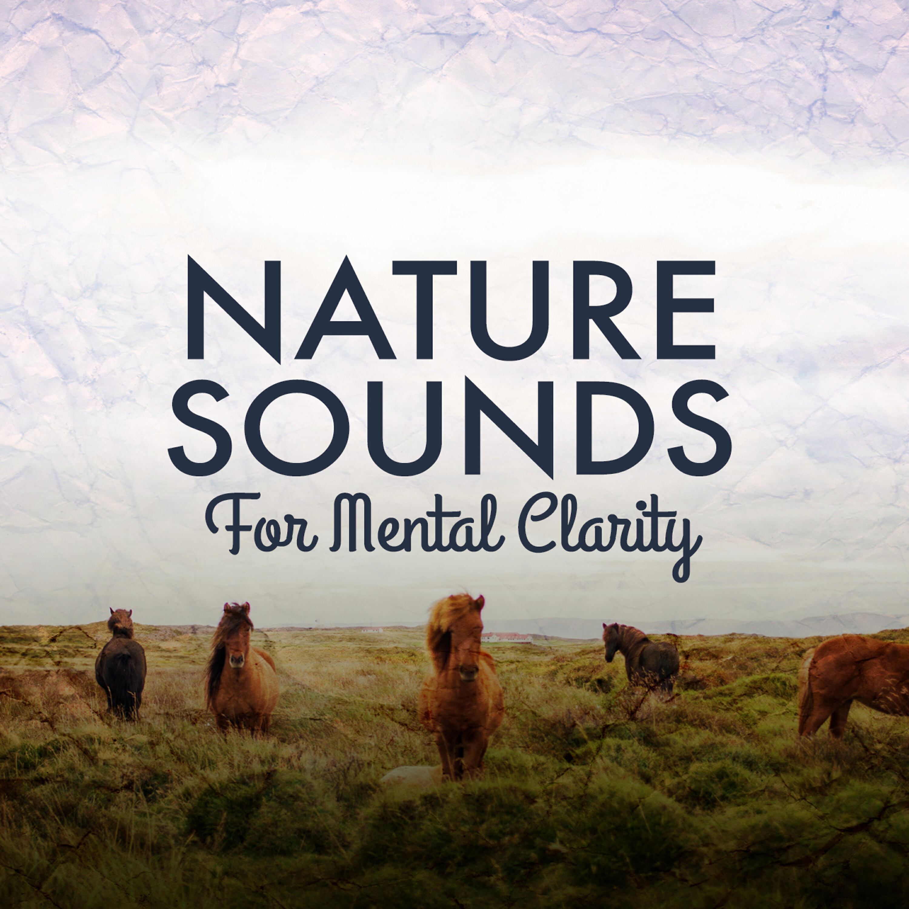 Релиз Nature Sounds for Mental Clarity