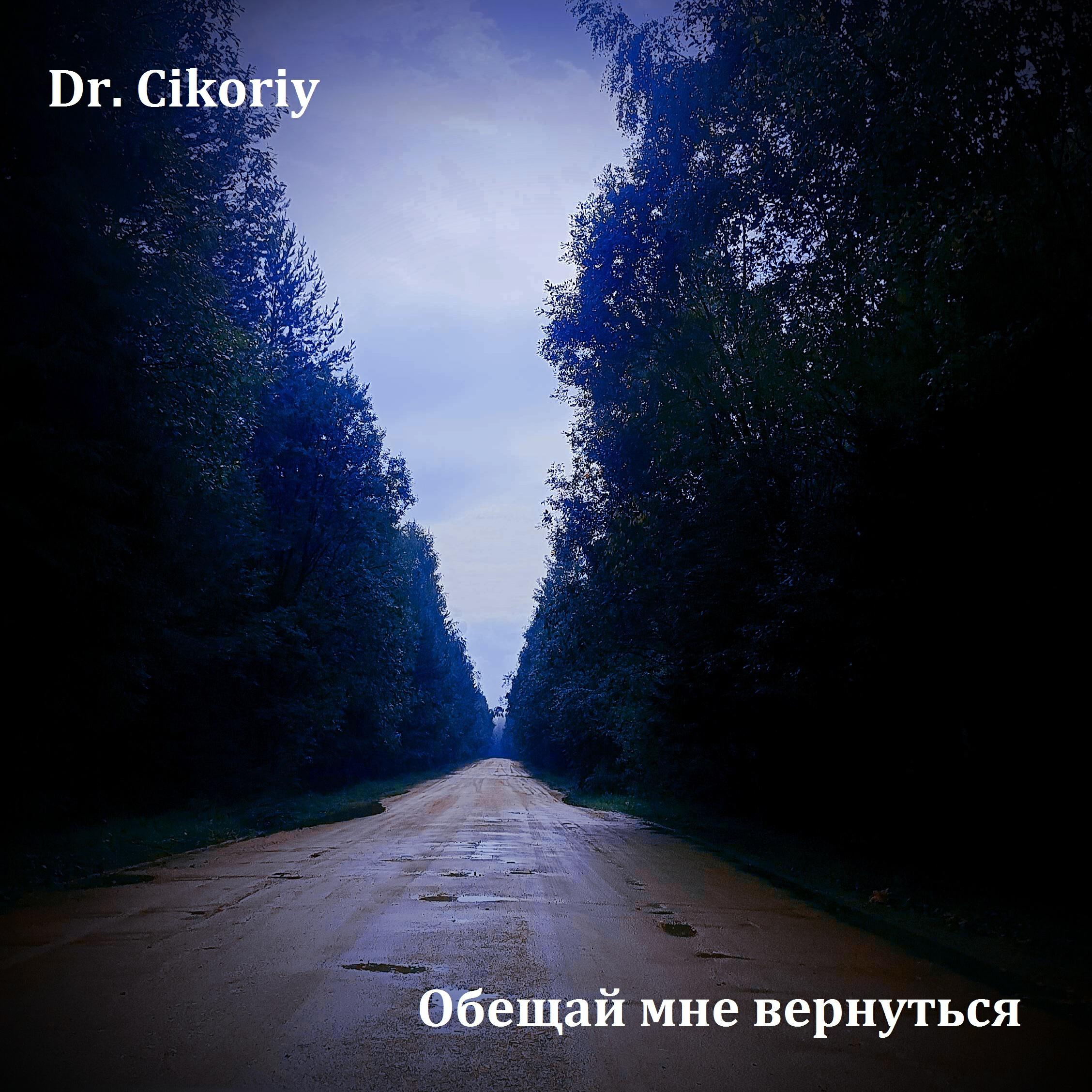 Релиз Обещай мне вернуться
