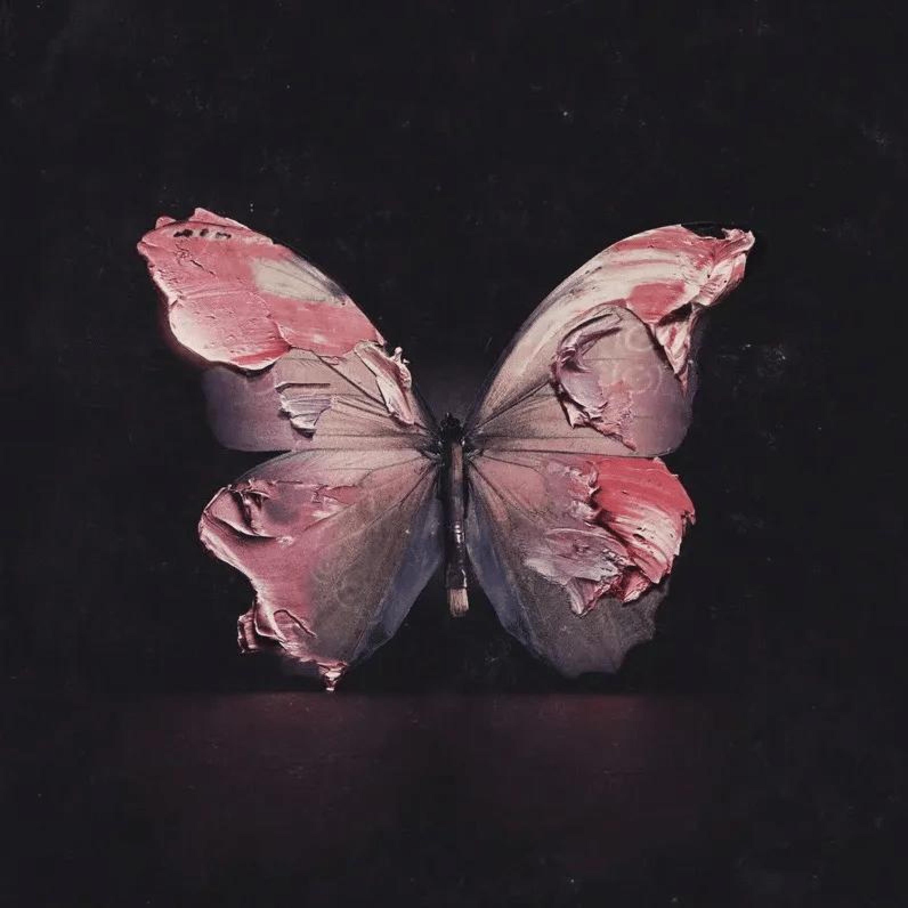 Релиз 蝴蝶和花