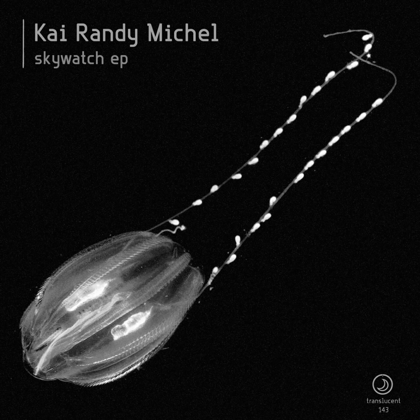 Релиз Skywatch EP