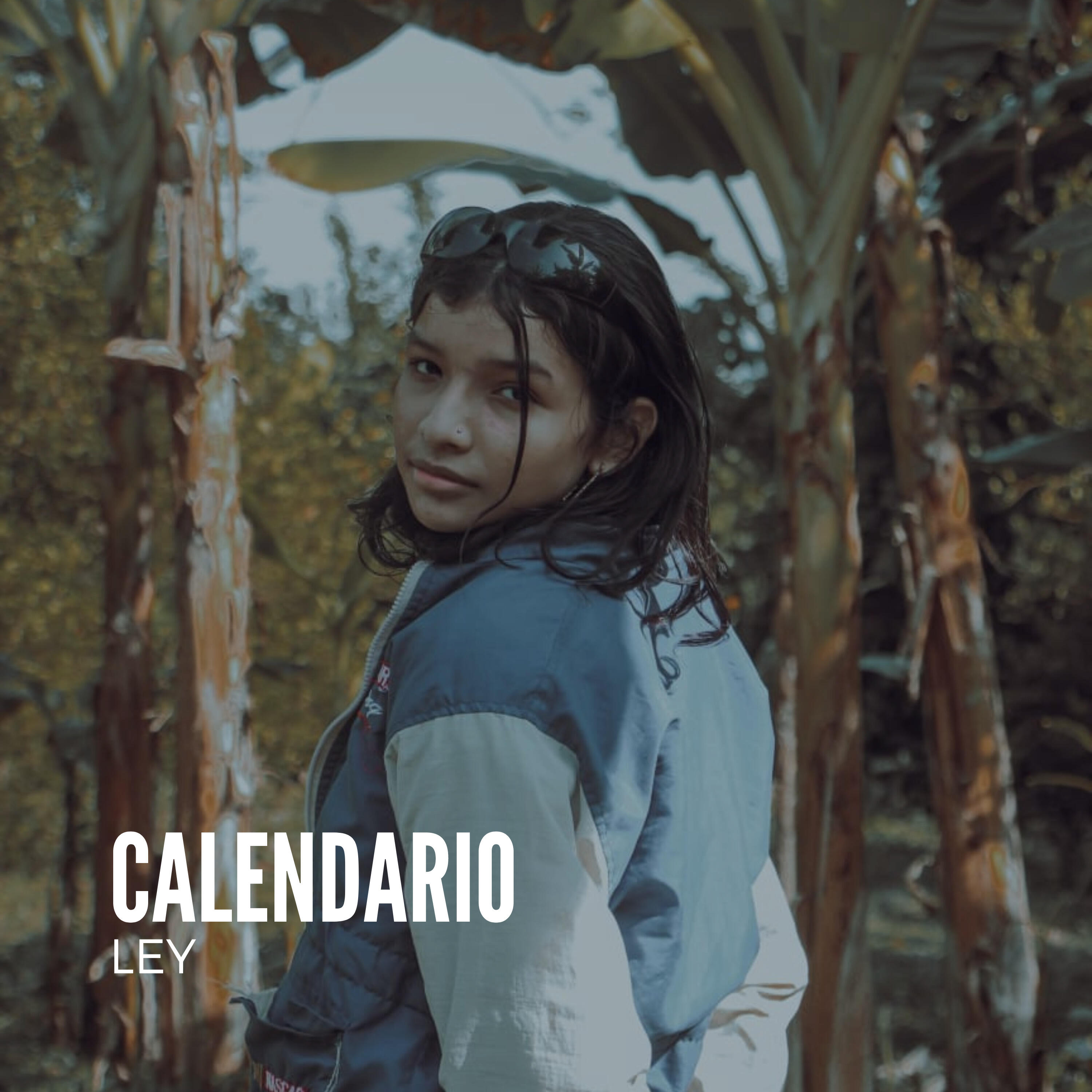 Релиз Calendario